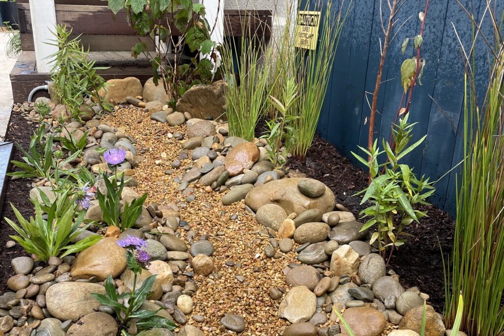 Alt text: Dry creek bed with layered stone edging and native plantings, including flowering perennials, beside a home's exterior in a Victory Gardens landscape design