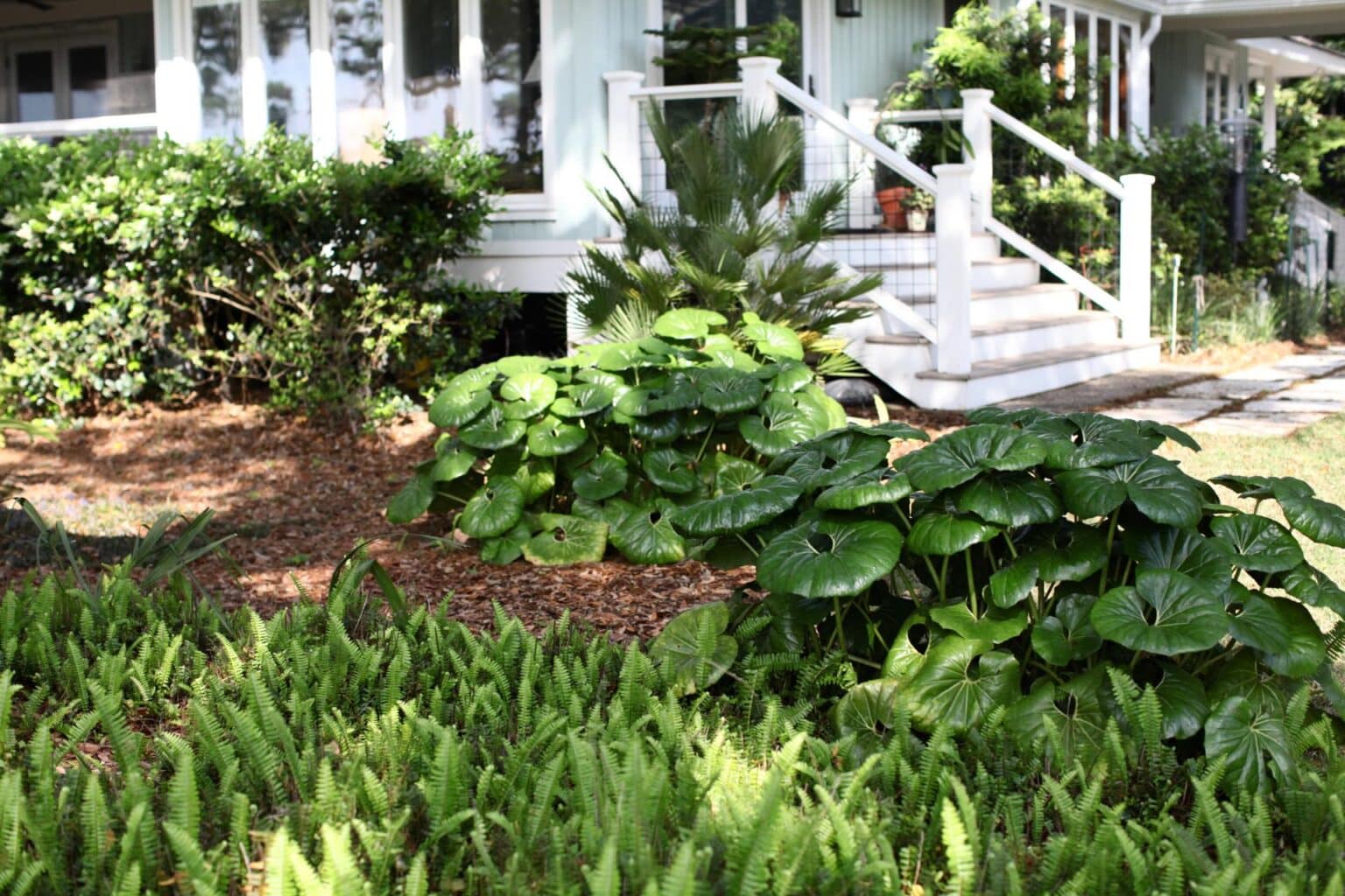 Savannah Landscape Design &amp; Fine Gardening | Victory Gardens
