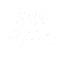 icon_flower_white_40x40