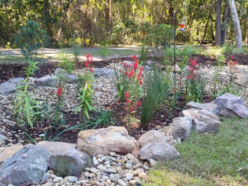Blooming rain garden basin with red flowering perennials and native grasses framed by stone edging, designed by Victory Gardens in Savannah, GA