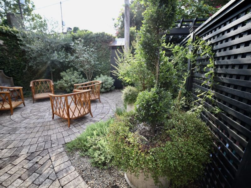 custom_lattice_paver_patio_topiary_pottery_olive_tree