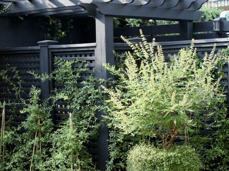 custom_pergola_outdoor_storage_pottery_vitex